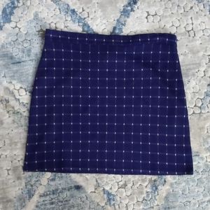 Blue and White Checkered Skirt
